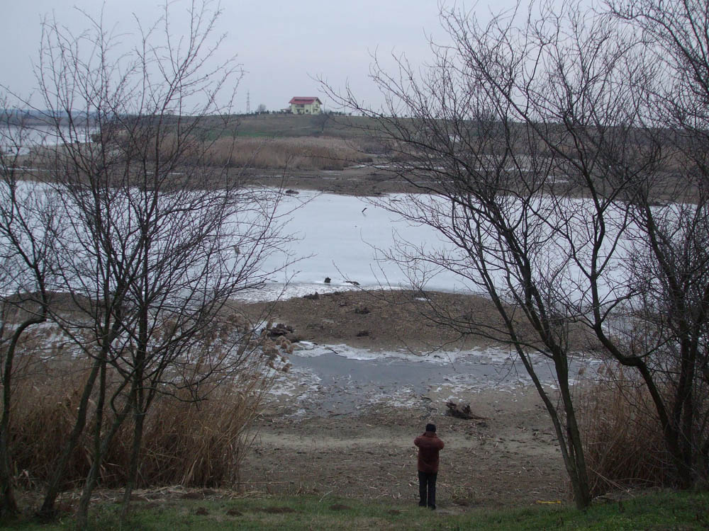 TANCABESTI SECAT - DSCF3443.jpg